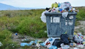garbage, waste container, waste-2729608.jpg